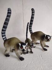 Ring tailed lemurs for sale  LEEDS