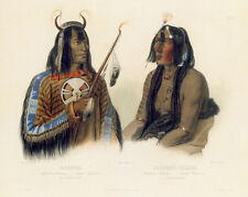 Noapeh assiniboin indian for sale  Cambria