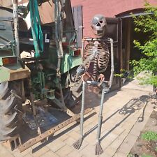 Menschliches skelett lebensgro gebraucht kaufen  Grabfeld