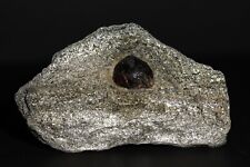Mineral specimen Almandine Garnet in Schist matrix from Norway for sale  Shipping to South Africa