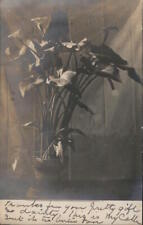 Flowers 1906 rppc for sale  Harvard