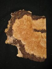 Natural edge maple for sale  Lebanon