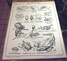 Occasion, Ancienne carte scolaire les reptiles et les batraciens Boa Crotale Cobra Vipère d'occasion  Grièges
