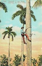 Postcard cuba man for sale  Boca Raton