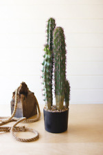 Artificial cactus black for sale  Los Angeles