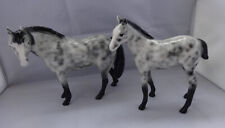 Elite pottery appaloosa for sale  UK