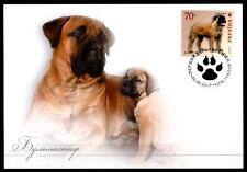 Hunde bullmastiff maximumkarte gebraucht kaufen  Holthausen