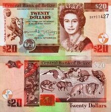 Belize dollars 2020 usato  Anzio