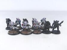 Neophyte hybrids squad for sale  Shipping to Ireland