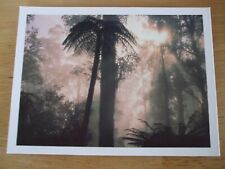 Athena postcard rainforest for sale  PERTH