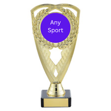 Multisport gold award for sale  Shipping to Ireland