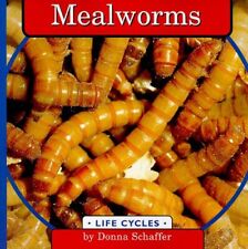 Mealworms donna schaffer for sale  USA