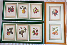Images fruits.botanique.agrume d'occasion  France