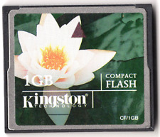 Kingston 1gb 1gb for sale  Lincoln