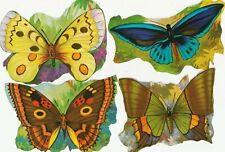 Schmetterlinge mlp 1575 gebraucht kaufen  Gifhorn
