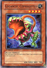 Gigantic Cephalotus CSOC-EN025 Yu-Gi-Oh! Light Play 1st Edition, used for sale  Shipping to South Africa