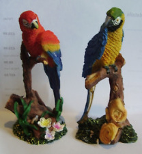 Colourful jungle parrot for sale  BRIDGWATER