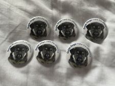 Guide dogs badge for sale  CRAWLEY