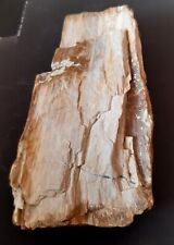 Minéraux collection fossile d'occasion  Senlis