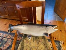 Taxidermy replica reproduction for sale  Shelburne