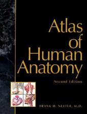 Atlas of Human Anatomy, 2ª Edição - Brochura por Netter, Frank H. comprar usado  Enviando para Brazil