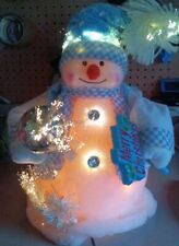 fiber optic snowman for sale  Leesburg