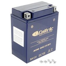 Usado, AGM Battery for Yamaha Grizzly 125 YFM125G 2004-2013 segunda mano  Embacar hacia Argentina