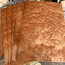 6 Pieces Stunning Figured Moabi Pommele Consecutive Veneer 24" x 14" or ~14 SF for sale  Shipping to South Africa