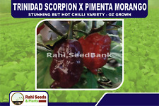 Trinidad scorpion pimenta for sale  Shipping to Ireland