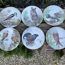 bird plates for sale  GLOUCESTER