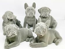 French bulldog pug for sale  SUNDERLAND