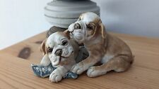 british bulldog puppies for sale  HALESOWEN