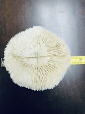 Vtg mushroom coral for sale  East Aurora