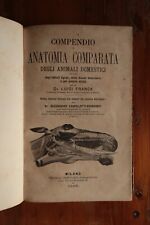 Compendio anatomia comparata usato  Italia