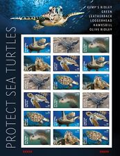Folha NDC 18 MNH 2024 6/15 EUA 5865a-5870a 5870c Protect Sea Turtles imperfeita comprar usado  Enviando para Brazil