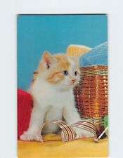 Postcard pur cat for sale  Stevens Point