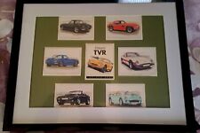 Tvr mounted golden for sale  BLACKPOOL