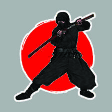 Ninja guerrier warrior d'occasion  Le Val