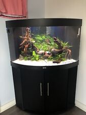 Juwel Trigon 190 Litre Corner Aquarium Fish Tank, Cabinet & Accessories for sale  SUTTON COLDFIELD