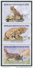 Congo 2002 gatti usato  Trambileno