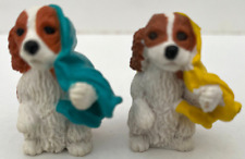 Puppy pocket jasper for sale  SOUTHAMPTON