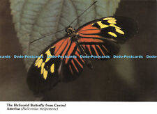 D023725 The Heliconid Butterfly from Central America. Heliconius melpomene. New for sale  Shipping to South Africa