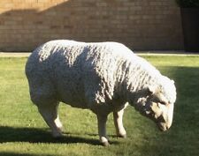 Life size sheep for sale  DONCASTER