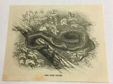 1884 magazine engraving for sale  Wilmington