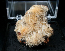 Minerals rare scholzite for sale  Seattle
