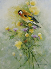 Goldfinch print painting for sale  COLNE