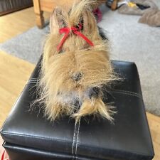 Hansa yorkshire terrier for sale  SWINDON