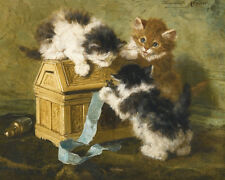 Three kittens casket for sale  UK