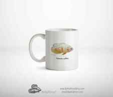 Cap mug cichlid usato  Spedire a Italy