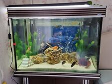 Fish tank stand for sale  EXETER